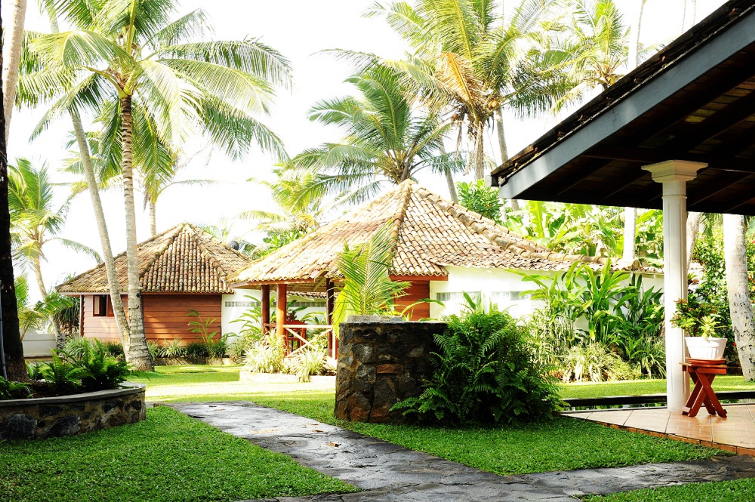 STM_7012.jpg STM_7012.jpg