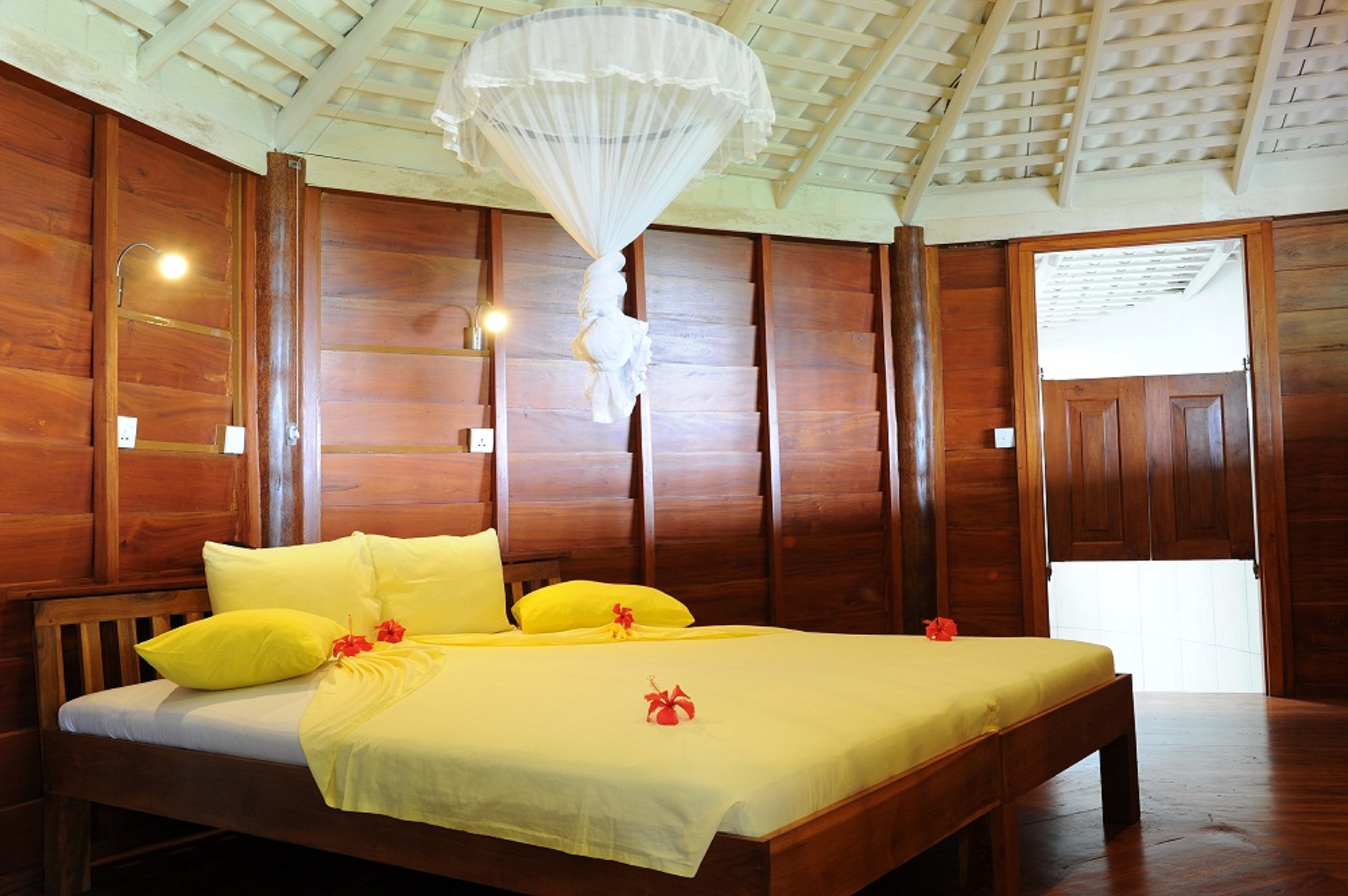 STM_7127.jpg STM_7127.jpg