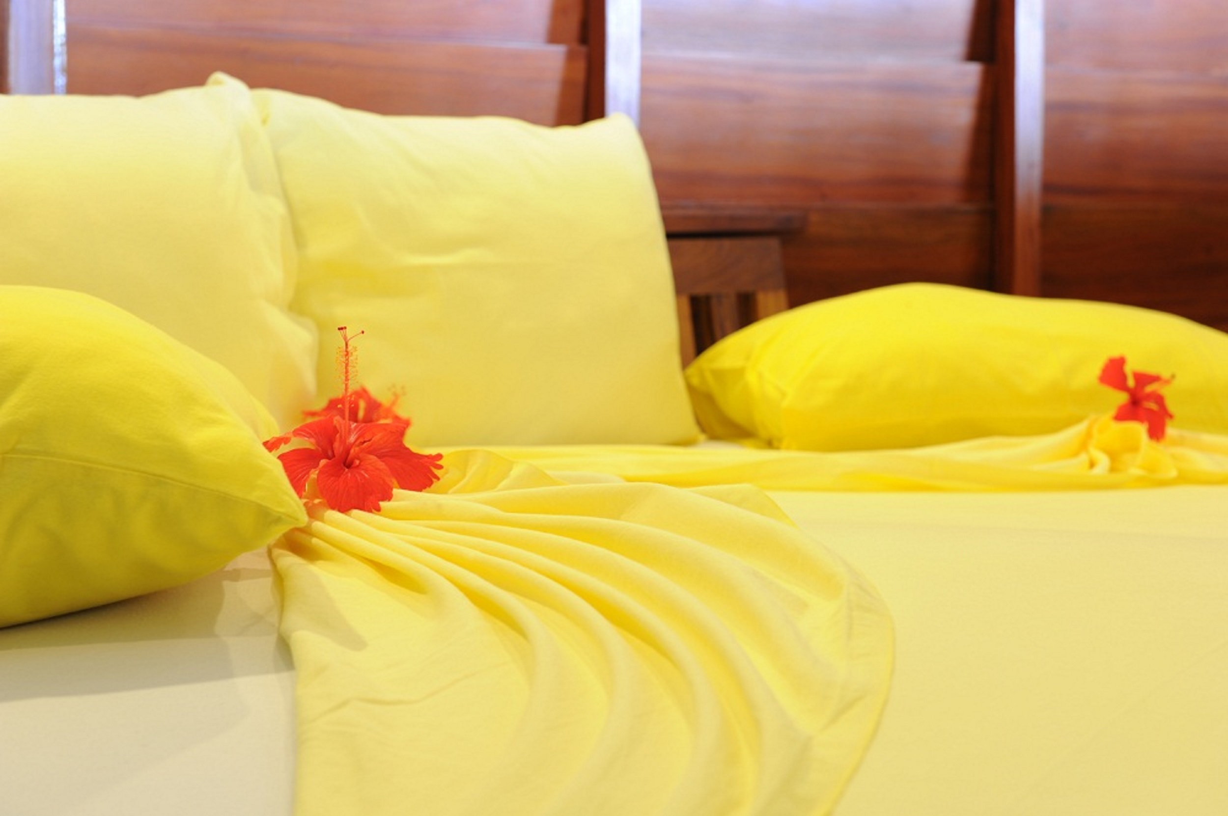 STM_7138.jpg STM_7138.jpg