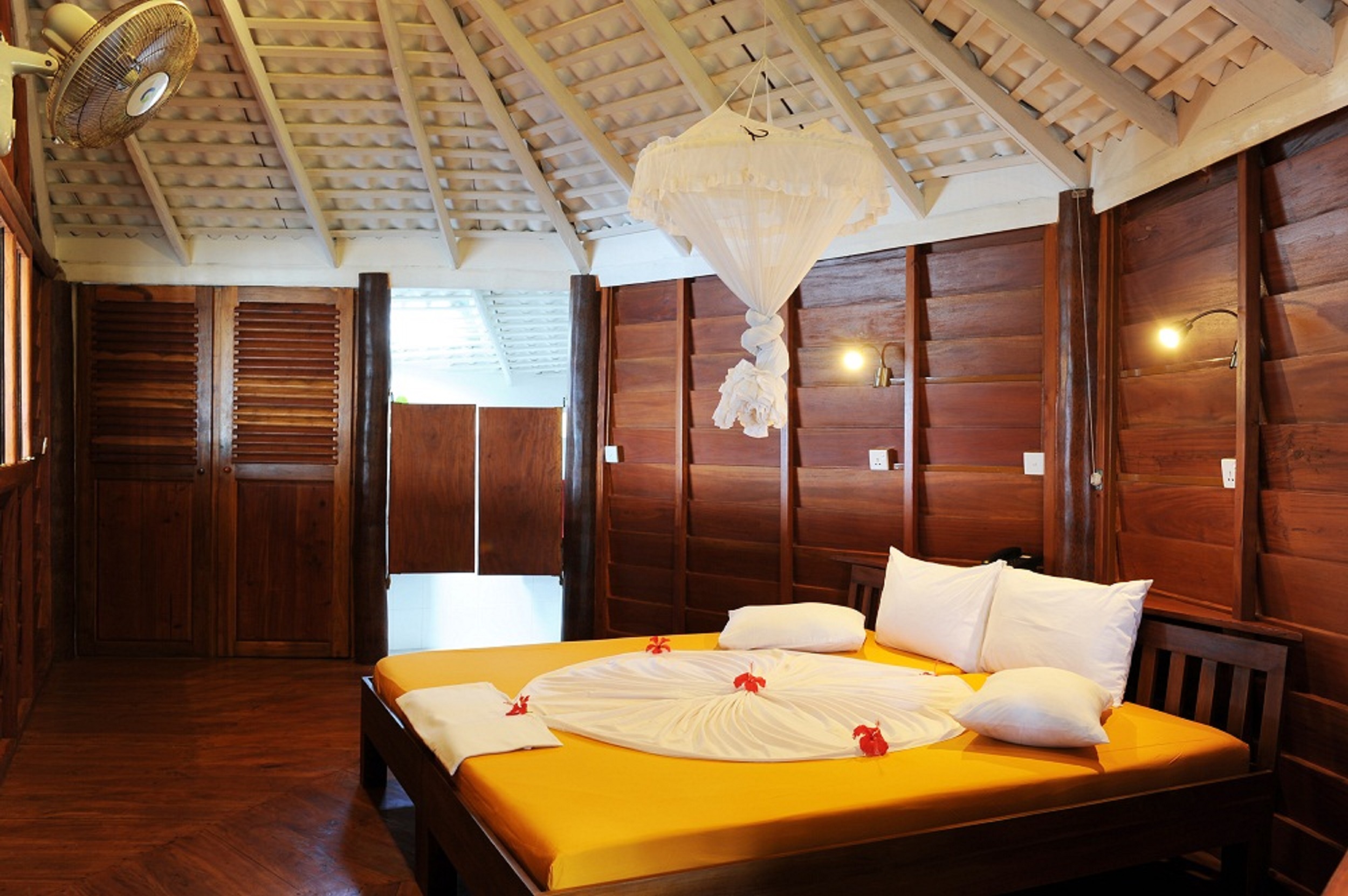 STM_7228.jpg STM_7228.jpg