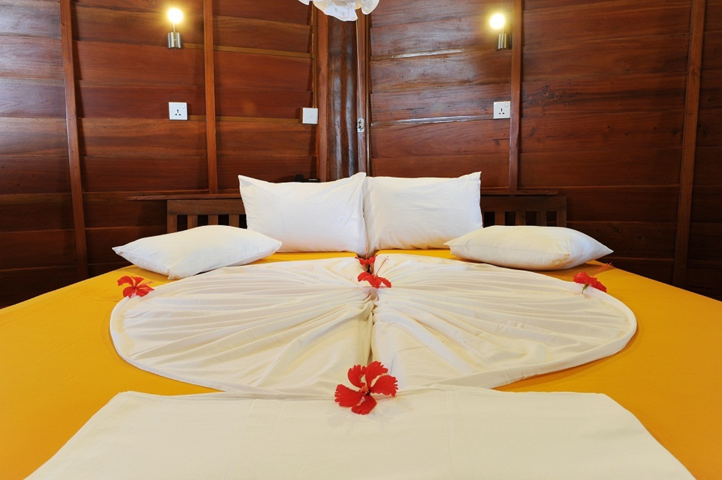 STM_7241.jpg STM_7241.jpg