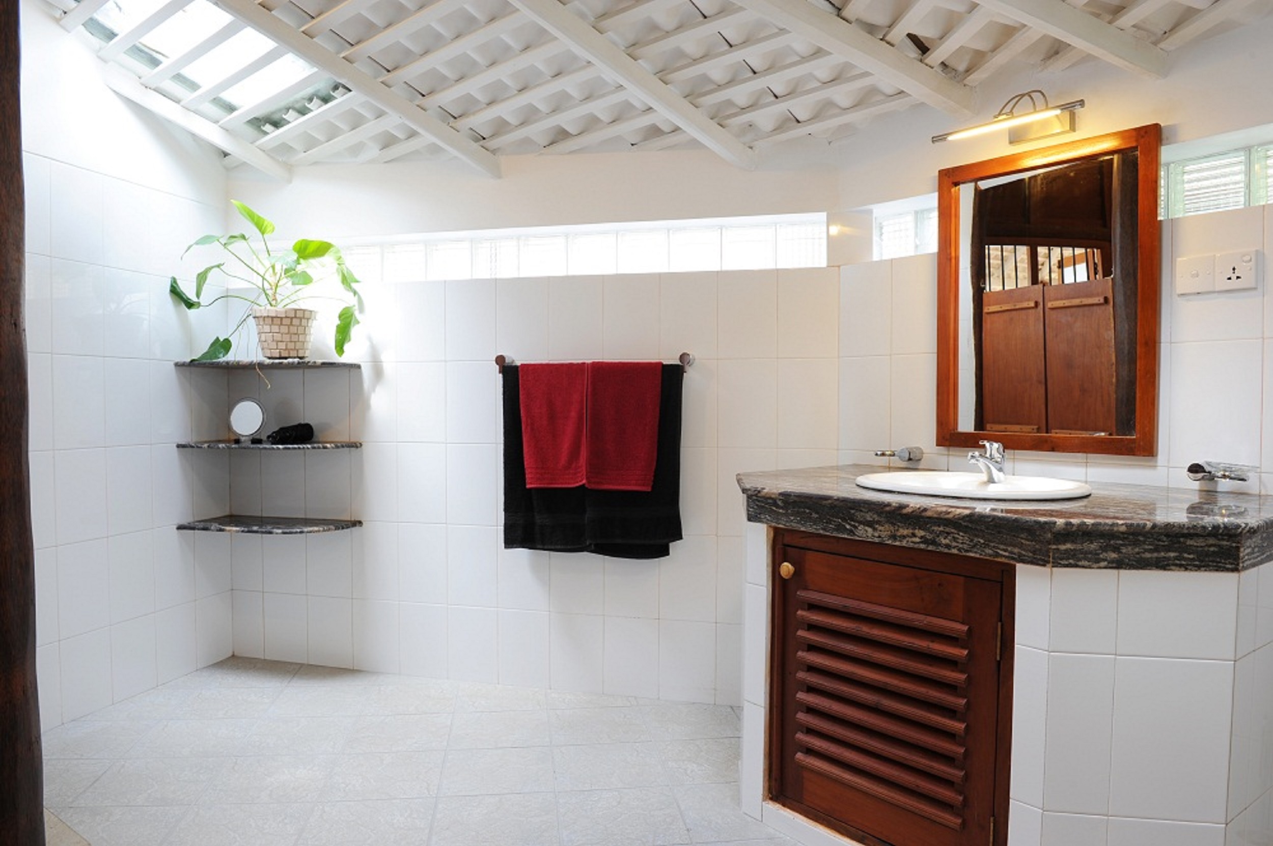 STM_7266.jpg STM_7266.jpg