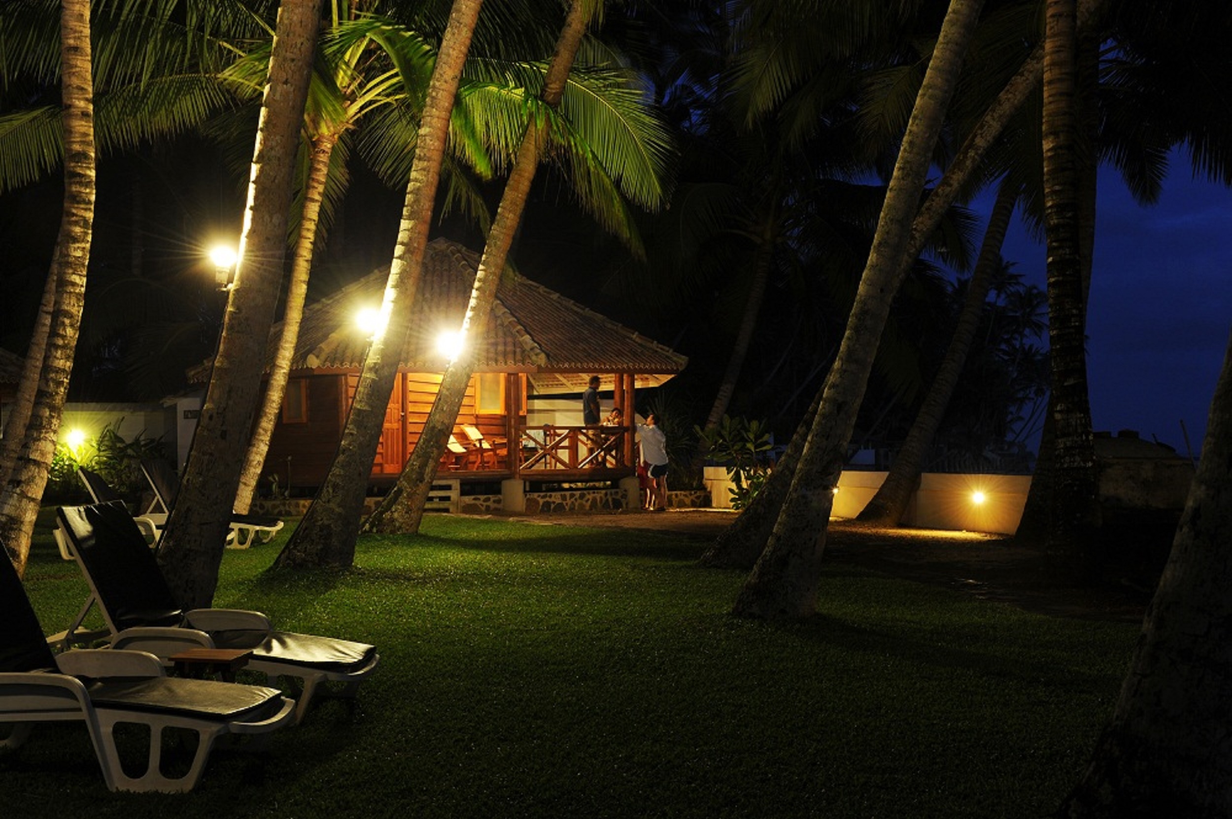 STM_7775.jpg STM_7775.jpg