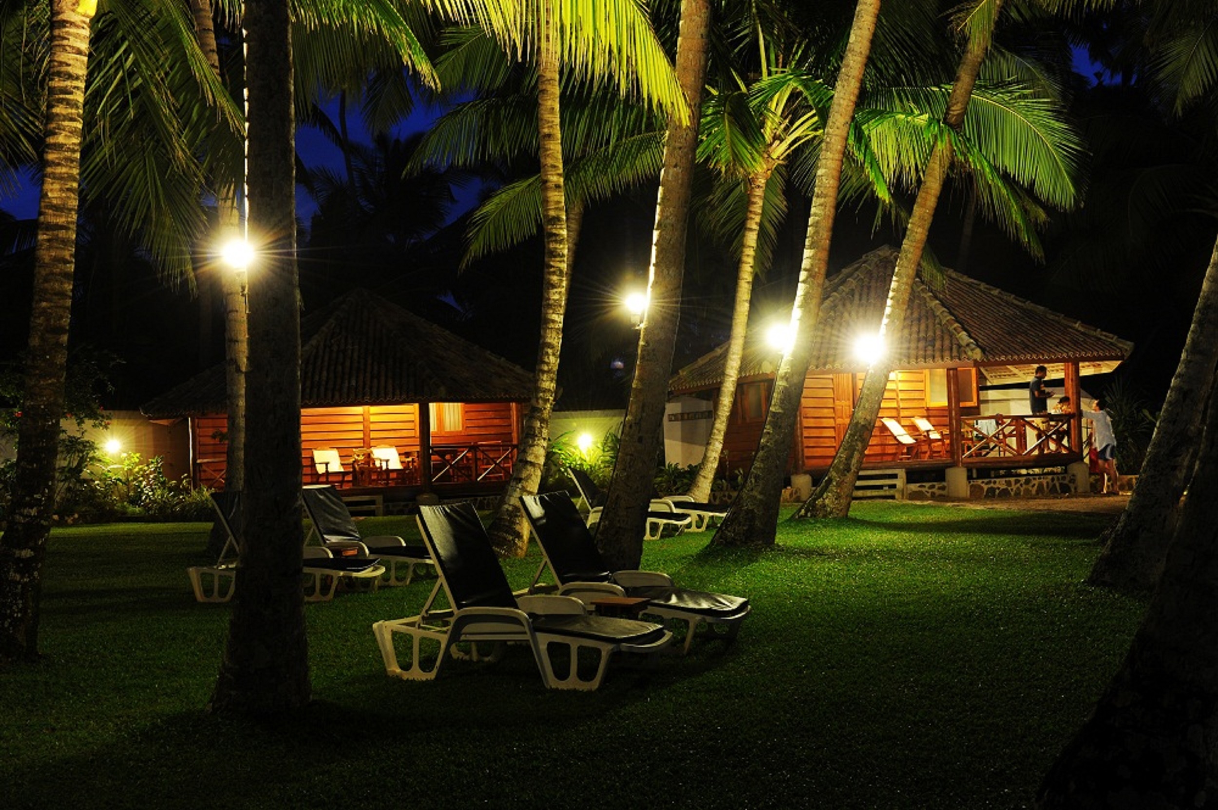 STM_7779.jpg STM_7779.jpg