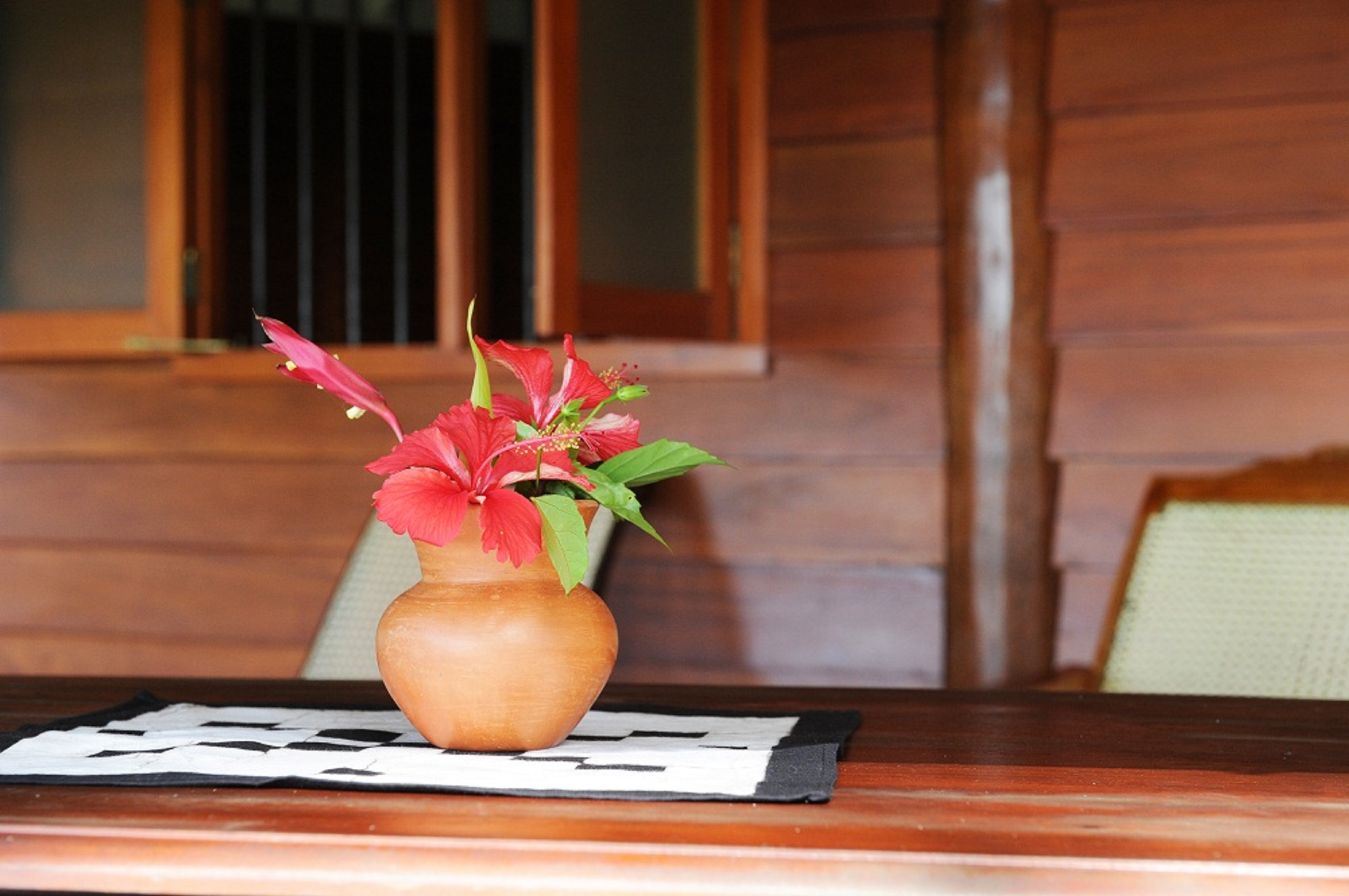 STM_7935.jpg STM_7935.jpg