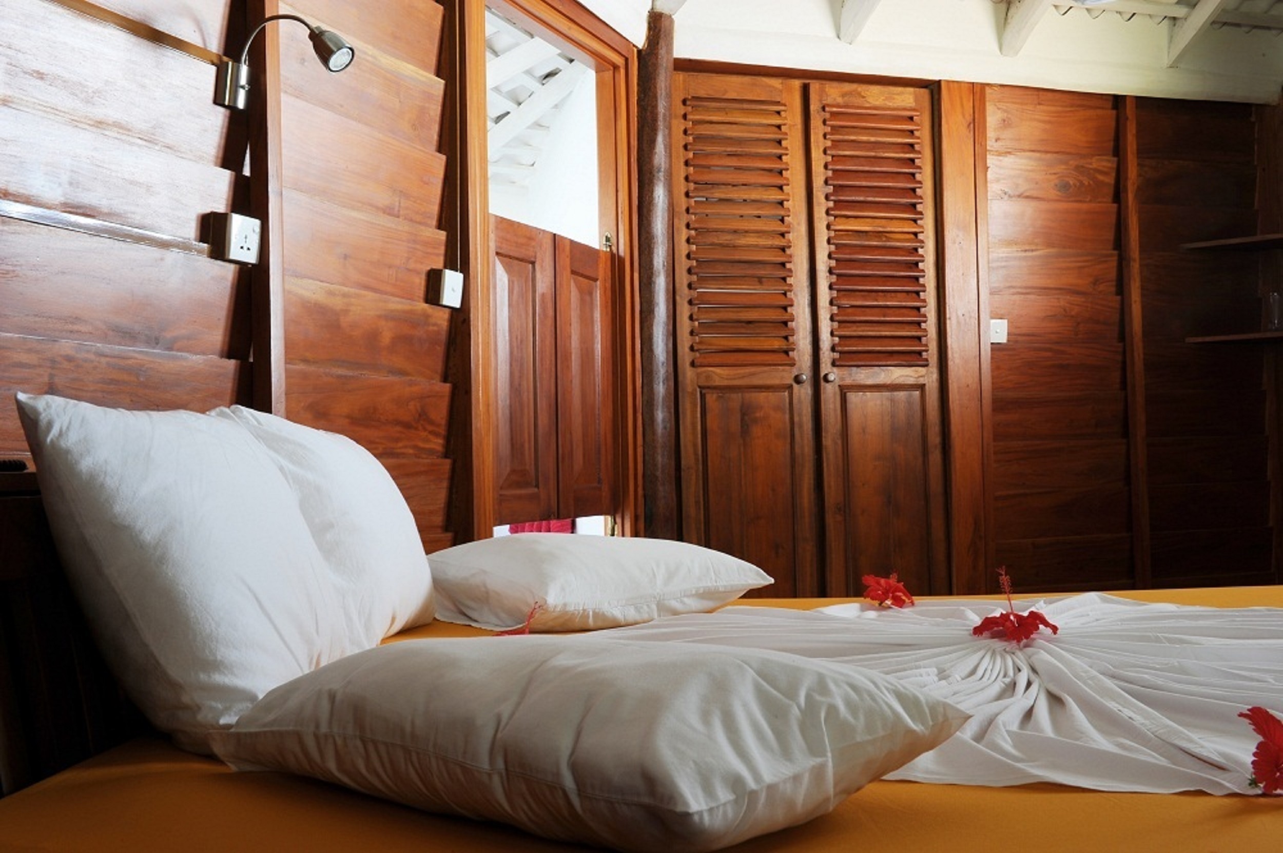 STM_8154.jpg STM_8154.jpg