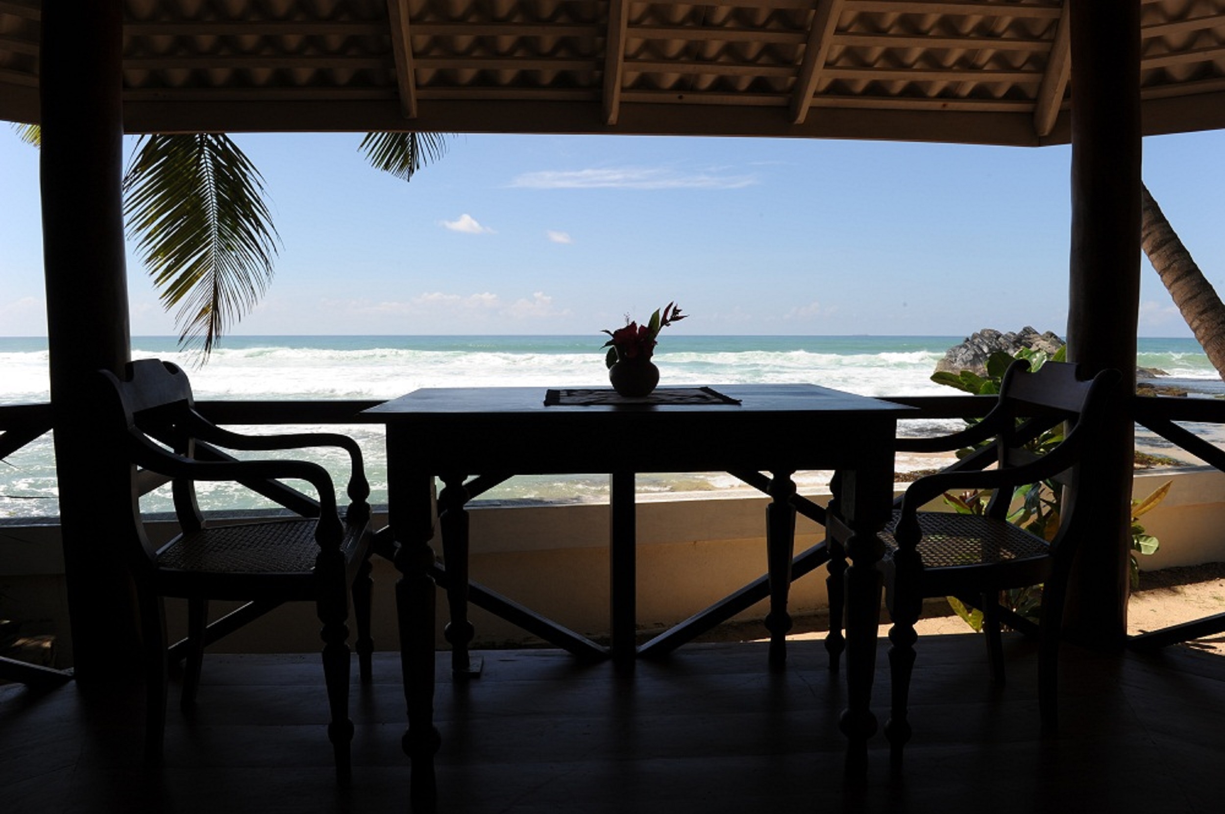 STM_8199.jpg STM_8199.jpg