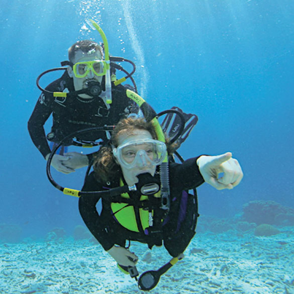 PADI Scuba Diver Course