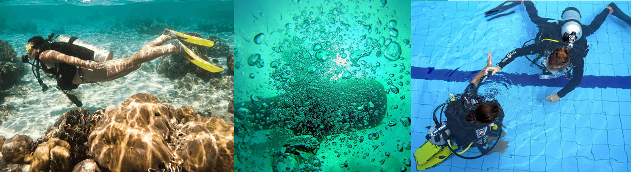 ReActivate Course with Unawatuna Diving Centre