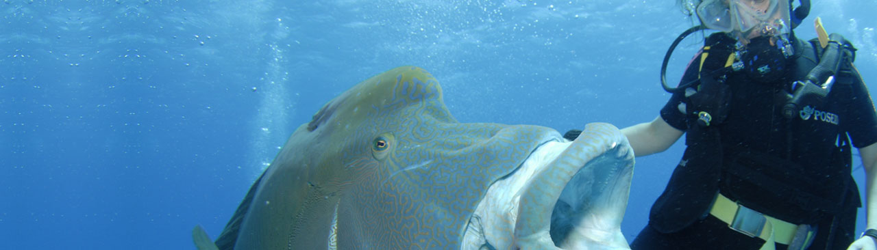 Underwater Naturalist PADI Specialties