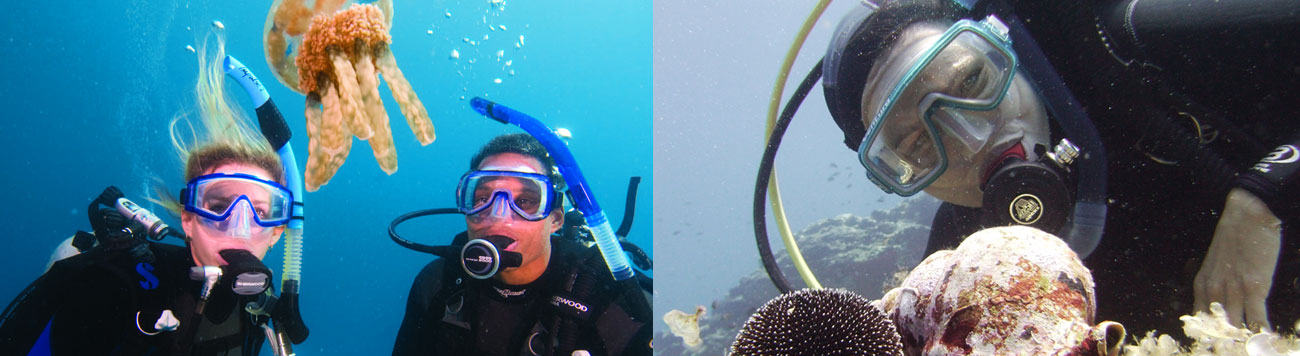 Underwater Naturalist PADI Specialties